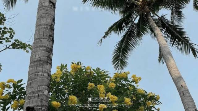 制定篮球交流计划以促进个人技能发展的方法_2